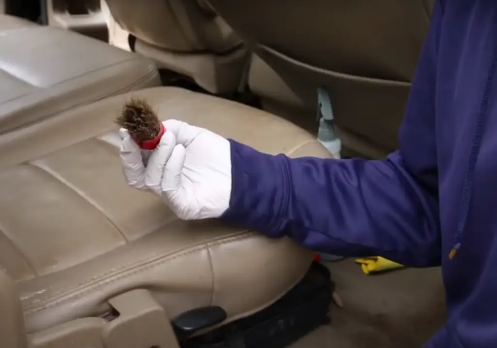 clean leather car seats