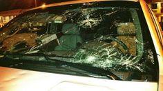 10 Windshield Damage ideas | windshield, auto glass, auto glass repair