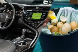 What Do I Do If I Have A Rotten Egg Smell In My Car?